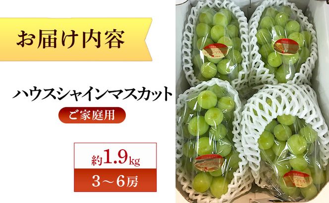 【8月31日（夏休み）までの期間限定価格!!】ご家庭用　シャインマスカット　約1.9kg