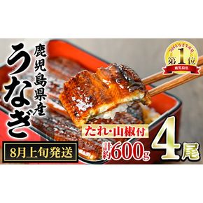 【0204348a-2608】＜8月上旬発送予定＞東串良町のうなぎ蒲焼(無頭)(4尾・計約600g・タレ、山椒付) うなぎ 高級 ウナギ 鰻 国産 蒲焼 蒲焼き たれ 鹿児島 ふるさと 人気 【アクアおおすみ】