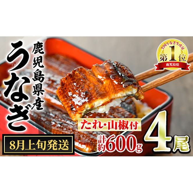 【0204348a-2608】＜8月上旬発送予定＞東串良町のうなぎ蒲焼(無頭)(4尾・計約600g・タレ、山椒付) うなぎ 高級 ウナギ 鰻 国産 蒲焼 蒲焼き たれ 鹿児島 ふるさと 人気 【アクアおおすみ】