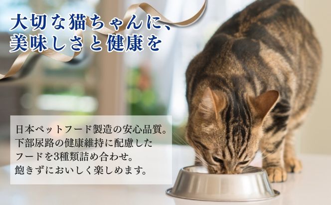 《ペットフード》日本ペットフード コンボ キャット 下部尿路の健康維持アソート 600g(120g×5袋入) ×12袋(ケース)