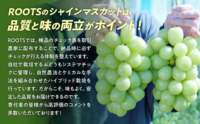 【夏季限定】No.23 2kg　シャインマスカット　摘みたて　産地直送　山梨県 夏季限定】No.233 2kg シャインマスカット 摘みたて 産地直送
