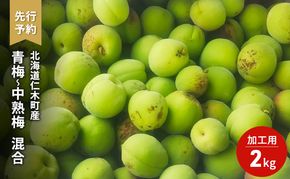 先行受付 梅 2kg 青梅 中熟梅 加工用 梅干し 梅酒 梅ジュース フルーツ 果物 果物類 ギフト 贈答品 北海道 仁木町 仁木 [古屋農園]