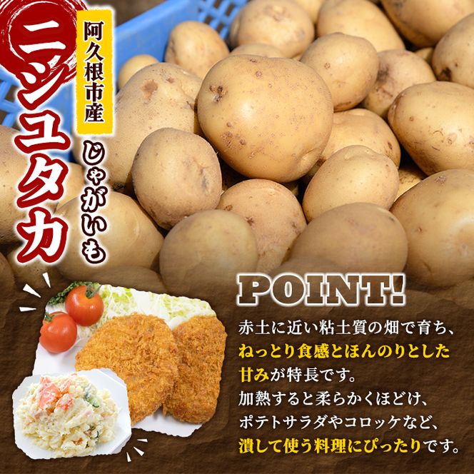 ＜先行予約受付中！2026年12月以降順次発送予定＞じゃがいも ニシユタカ(5kg) 国産 鹿児島県産 阿久根市産 じゃがいも ジャガイモ 芋 ポテト にしゆたか 野菜 期間限定 数量限定 ポテトサラダ コロッケ 常温 常温配送 【慶越農園】akn107-09