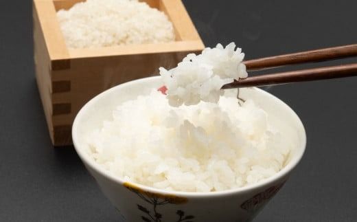 【令和7年産米】牛とつくったお米 新潟県岩船産 コシヒカリ 5kg・新之助 5kg 計10kg 1041006