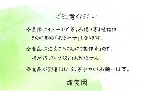 寄せ植え 江戸の四季 【 3ヶ月に1回お届け (全4回お届け) 】	 植物 季節 旬 ガーデニング インテリア 定期便