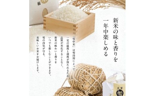 令和8年産【定期便6ヶ月】ななつぼし 無洗米 5kg（5kg×1袋）【12月発送】 開始 雪冷気 籾貯蔵 雪中米 北海道 nr-2336