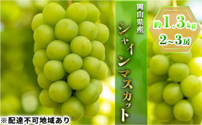 ぶどう 2026年 先行予約 シャイン マスカット 約1.3kg 2～3房 ブドウ 葡萄 岡山県産 国産 フルーツ 果物 ギフト