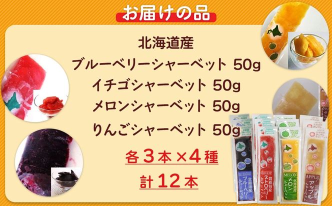 北海道 豊浦町 シャーベット 4種 味くらべ 各3本ずつ（ ブルーベリー、いちご、メロン、りんご ）イチゴ めろん リンゴ 食べ比べ アイス デザート 夏 冷たい TYUN018