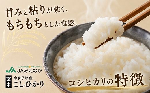 コシヒカリ玄米 10kg ( 米 お米 こめ コメ おこめ 白米 玄米 コシヒカリ玄米 こしひかり コシヒカリ 令和7年産コシヒカリ 松阪市産コシヒカリ 三重県 松阪市 ) 【002110A】