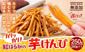 カリッカリ 紅はるかの芋けんぴ 250g 1袋250g 熊本県大津町産 無添加《30日以内に出荷予定(土日祝を除く)》薩摩芋 さつまいも サツマイモ イモケンピ 保存料・着色料 不使用 小分け---oz_imkp_30d_r7_3500_250g---