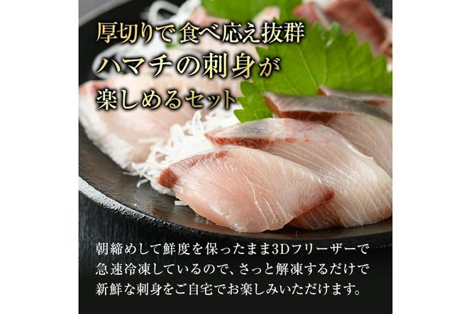 大分県産 ハマチ刺身セット (計400g・ハマチ100g×4皿、醤油ダレ30ml×4個) ハマチ 刺身 鮮魚 冷凍 養殖 国産 大分県 佐伯市【GO005】【(株)水元】