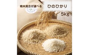 令和8年産 新米予約受付！自然栽培米ひのひかり5kg〈栽培期間中農薬・肥料不使用〉【ほのわ】_HA1609