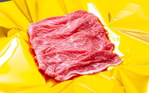 松阪牛赤身定期便（～７月受付・８月から毎月発送）【9-14】
