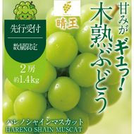 先行予約 晴王 木熟ぶどう ハレノシャイン シャインマスカット晴王 2房 約1.4g 9月～11月発送 種無し 皮ごと食べる みずみずしい 甘い フレッシュ 糖度保証 厳選品質 冷蔵 瀬戸内 果物大国 ハレノフルーツ