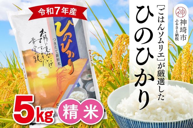 【令和7年産】ごはんソムリエが厳選 白米 ひのひかり 5kg【神埼市産 米 お米 精米 白米 5kg ひのひかり ブランド米 食味鑑定士】(H063150)