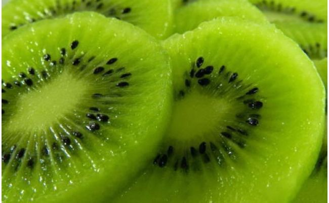 【先行予約】 和歌山下津産 キウイフルーツ 約3.6kg（玉数おまかせ・秀品）フルーツ