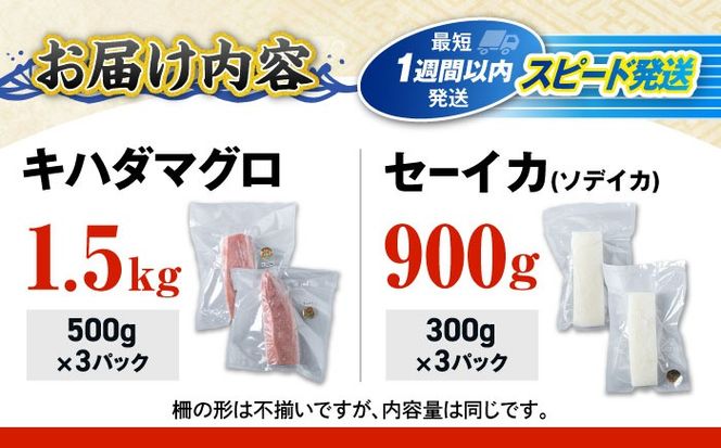 海の幸セット (冷凍キハダマグロ1.5kg / セーイカ0.9kg) 沖縄市 / 沖縄市漁業協同組合 パヤオ直売店[BCDZ005]