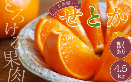 みかん せとか 【ランキング急上昇！】 訳あり 石本農園の せとか 4.5kg M-4L サイズおまかせ 【2026年2月中旬から下旬までに順次発送】 / せとか みかん ミカン 蜜柑 柑橘 果物 くだもの フルーツ サイズ 不揃い 家庭用 ご家庭用 予約 人気 ジューシー 甘い【mis013A】