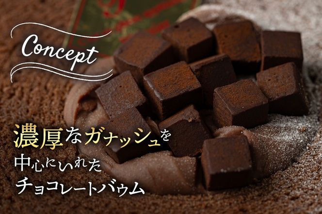《12月24日までのお申込で年内発送間に合う》 【ベルギー産チョコ使用】本格生チョコバーム「Rendez Vous」|06_pcf-110101