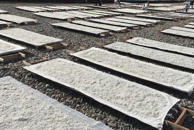 ちりめん 宮崎県産 無添加 ちりめんじゃこ 120g 3p 計360g [幸脇漁業生産組合 宮崎県 日向市 452061353] じゃこ 国産 しらす干し 小分け ジャコ 保存料不使用