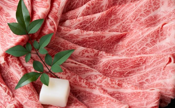 牛肉 サーロイン A4～A5 厳選部位 博多和牛 しゃぶしゃぶ すき焼き用 500g 配送不可：離島 