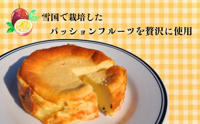 【冷凍】こだわり【米粉の濃厚チーズケーキ】13㎝ホール やよい農園 (Aq-001)