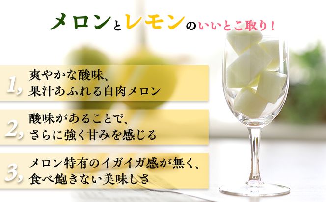【希少！数量限定先行予約 2026年発送】 レモンメロン 2Lサイズ 1玉 北海道 富良野産 レモン メロン 新品種 富良野市 ふらの お中元 ギフト 水戸青果 送料無料