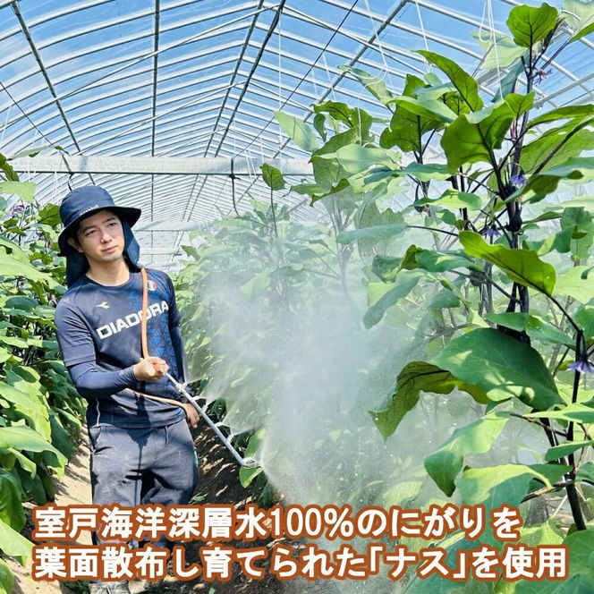 《 定期便/全３回 》 揚げナス 合計1.8kg【輪切り】海洋深層水仕込みのナス使用 カット済 揚げなす 野菜 やさい ナス なす 茄子 生産量日本一 高知 室戸 惣菜 便利 用途 豊富 カット野菜 調理 ハウス栽培 小分け 頒布会