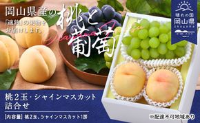 桃 ぶどう 2026年 白桃 晩生種 2玉 シャイン マスカット 1房 合計約1.0kg もも 葡萄 岡山県産 国産 フルーツ 果物 ギフト