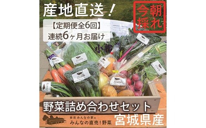 【定期便全6回】連続6ヶ月お届け！岩沼みんなの家の「みんなの直売！野菜」セット詰め合わせ 詰合せ 