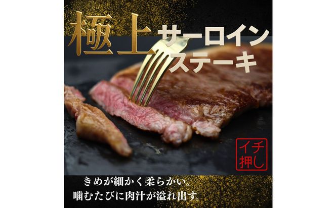 [A5]仙台牛のサーロインステーキ　最高級の和牛をまとめ買い！【特産品 宮城県産  仙台牛 国産牛 サーロイン  ステーキ 霜降り  厳選 ごちそう 記念日 ギフト お歳暮 お中元 定番 安心安全 品質保証 リピート ランキング】 041009_FD011