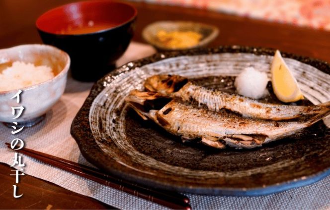 鐘崎漁師のおふくろの味 干物セット 6袋【道の駅むなかた】_HA1820