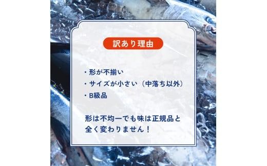 【訳あり】紀州勝浦産まぐろ　ぶつ切り漬けまぐろ 60g×10/まぐろ マグロ 鮪 勝浦【kys002】
