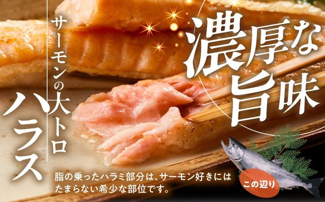 G4199 【訳あり】アトランティックサーモン ハラス 2kg 【500g×4P ノルウェー 大トロ 腹身 上質 冷凍】