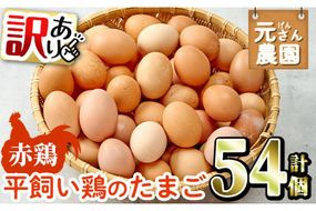 ＜訳あり・規格外＞ 平飼い赤鶏のたまご (計54個) 元さん農園 卵 玉子 卵かけご飯 玉子焼き 平飼い 鶏 鶏卵 養鶏場直送 新鮮 大分県 佐伯市 【GE008】【 (株)海九】