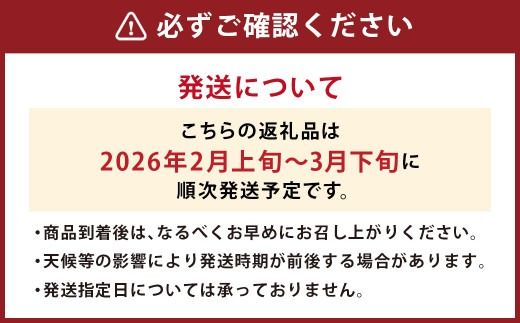 【春】福岡産 あまおう いちご 約250～270g×4パック 【2026年2月上旬～3月下旬発送予定】 大粒 