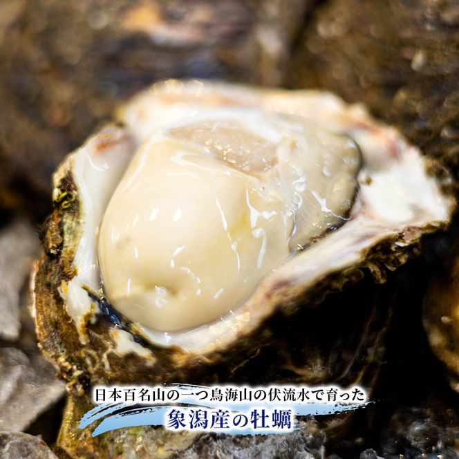 【 先行予約 7月上旬～下旬発送予定】象潟産 天然岩牡蠣 5～6個 ナイフ無【 牡蠣 夏牡蠣 かき 象潟 生食可 魚介類 海鮮 海産物 海の幸 】