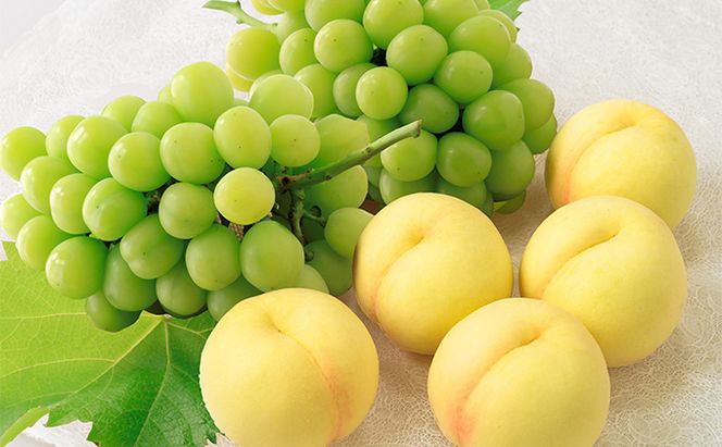 桃 ぶどう 2026年 先行予約 岡山 白桃 5玉とシャイン マスカット 2房 詰合せ 合計2.7kg以上 もも 葡萄 岡山県産 国産 フルーツ 果物 ギフト 環山堂 