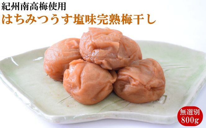 紀州南高梅使用 はちみつ うす塩味 完熟梅干し 無選別 約800g / 和歌山 梅干し 紀州南高梅 南高梅 梅干 梅 うめ 肉厚 お米 おにぎり 焼酎 梅酒 健康詰【tec984】