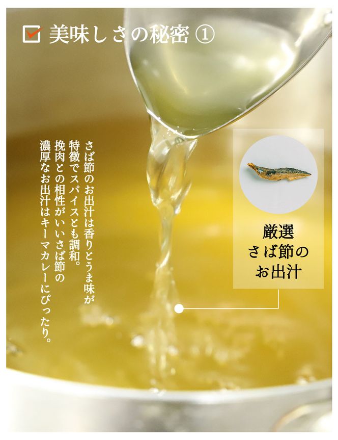 【きょうのおだし】さばだしキーマカレー 10食入［ 京都 削り節屋  おだしのプロ スパイスカレー 人気 おすすめ 和風カレー おいしい ギフト プレゼント お取り寄せ 通販 送料無料 ふるさと納税 ］ 261009_B-KD37