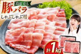 AK034 豚バラ しゃぶしゃぶ用 500g 2パック 計1kg [ 豚肉 小分け バラ肉 ぶた しゃぶしゃぶ 薄切り スライス BBQ バーベキュー 焼肉 アウトドア 1キロ スターゼン 長崎県 島原市 ]