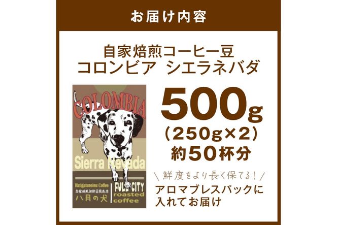 【栽培期間中農薬不使用】自家焙煎コーヒー豆 コロンビア シエラネバダ 500g（250g×2） 約50杯分 小分け　豆・粉 選べる 飲料 珈琲 こーひー コーヒー coffee　HA00026
