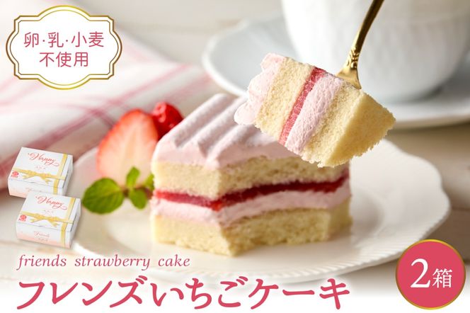 【期間限定】卵・乳・小麦不使用【フレンズいちごケーキ × 2箱】 スイーツ ケーキ 苺 イチゴ 山形県 東根市 日東ベスト 2箱　hi010-024