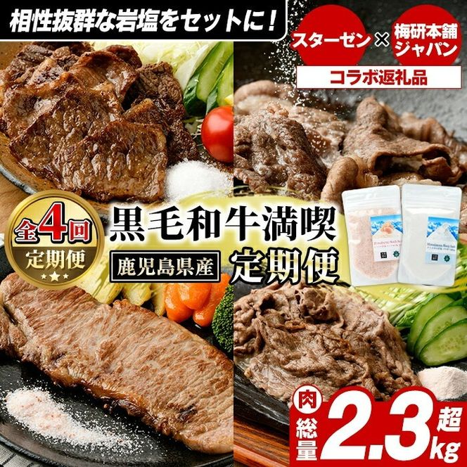 ＜定期便・全4回(4月・7月・10月・12月)＞岩塩付き！鹿児島県産 黒毛和牛満喫定期便 (総量2.3kg超) 国産 牛肉 モモ スライス サーロイン ステーキ 切り落とし ロース 焼肉 焼肉セット コラボ ピンク 岩塩 【スターゼン×梅研本舗ジャパン】akn501-05