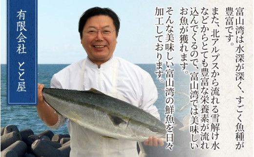 ほたるいか醬油漬 6パック詰合せ【2024年5月下旬より順次発送】　A-024002