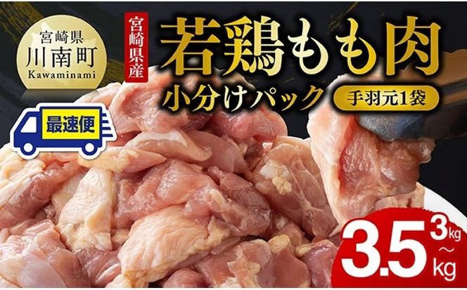 鶏肉 【手羽元500gあり・なしが選べる】【発送月が選べる】【小分け】宮崎県産若鶏　もも肉計3kg（250g×12袋） 【 鶏 肉 鶏肉 国産 モモ 手羽元 九州産 鳥 小分け 使いやすい 便利 】ⅢⅢ  [F0904 C00902]
