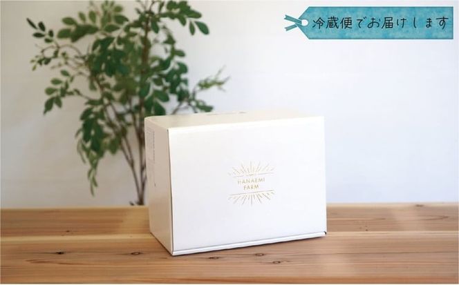 【2027年先行予約】花笑み農園　岡山の訳あり『松茸』100g 【hana078-03】