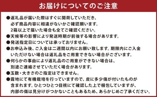 【先行受付】 特別栽培みかん（早生） 10kg サイズミックス 早生みかん 温州みかん みかん ミカン 蜜柑 フルーツ 柑橘 果物 果実 熊本県 上天草市【2026年11月上旬から12月上旬発送開始】