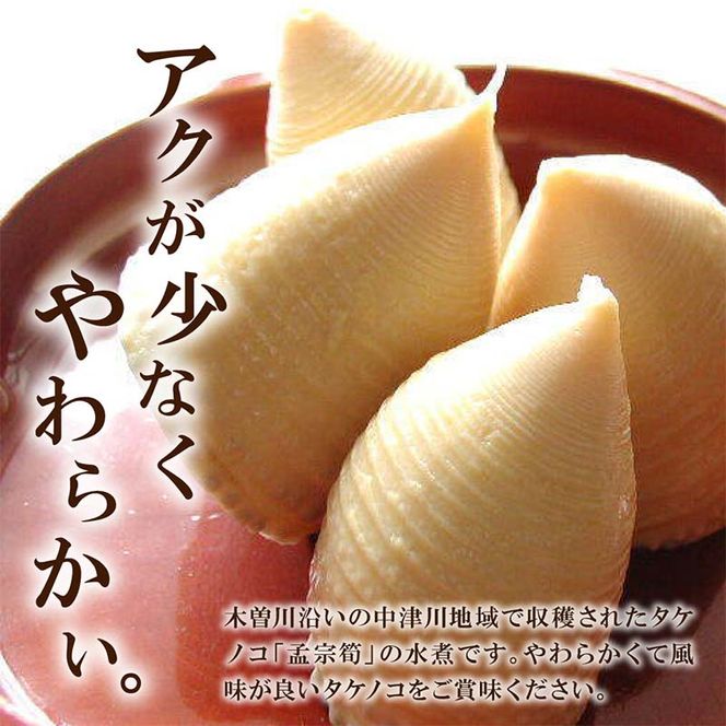 国産たけのこ水煮【中津川市瀬戸産】孟宗筍のみ使用 F4N-2379