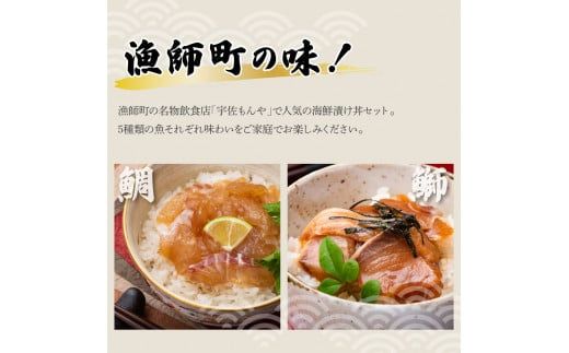 【12回定期便】訳あり土佐の海鮮漬け丼（5種×各2袋）セット 漬け丼の素 タイ 鯛 ブリ 鰤 マグロ 鮪 イカ カツオ 鰹 たたき 新鮮 魚 おかず おつまみ 惣菜 小分け【企業組合　宇佐もん工房】 [BQAB016]